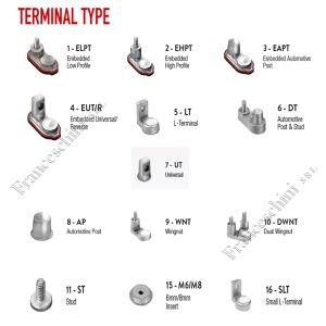 Batteria Trojan T-T105 PLUS Terminali: 1ELPT