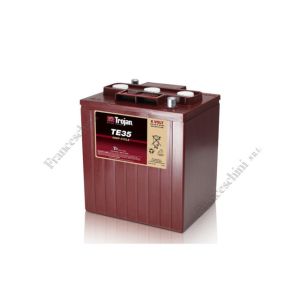 Batteria Trojan  TE35   Terminali:AP