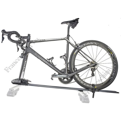 Pure Instinc tetto attacco a "forcella"